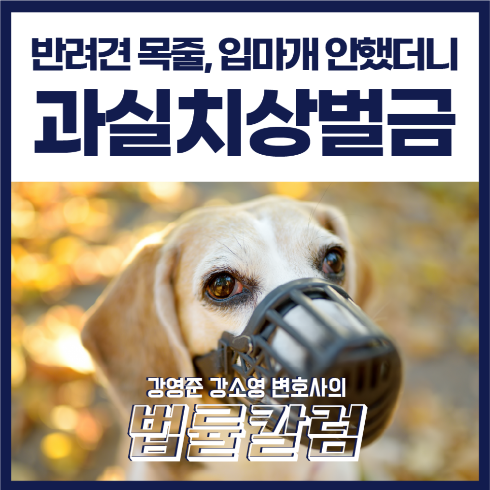 260629대지_1_사본_225.png